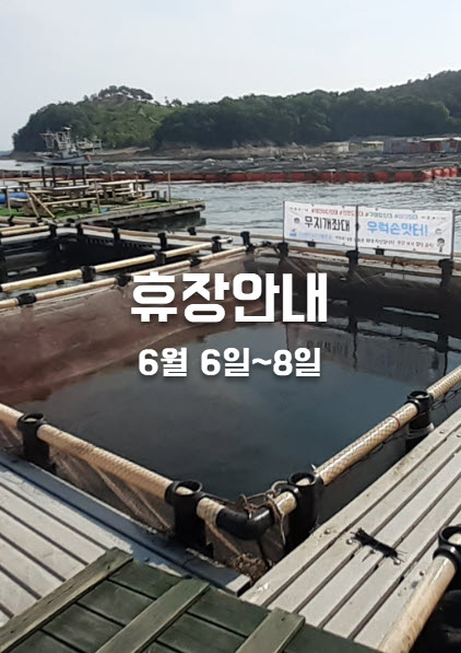 구매항좌대 무지개좌대 6월6일~8일휴장안내