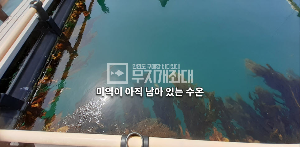 5월24일 - 태안자연식낚시 좌대조황(우럭 3짜) 최근우럭낚시