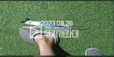 안면도야간좌대갈치풀치