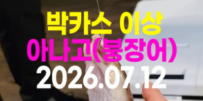 바다좌대낚시 야간 밤 붕장어 낚시
