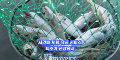 태안 시간배 체험 낚시 백조기낚시 조황 안내