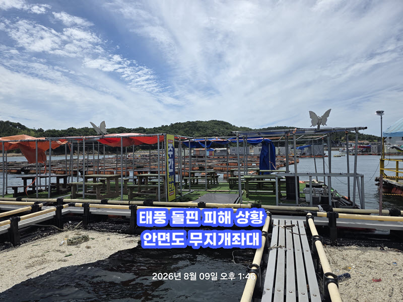 48d770c0499097831aae5354e2a50da9_1786257839_4371.jpg 태풍 돌핀 돌풍에 의한 안면도 구매항좌대 피해 - 무지개좌대 휴장