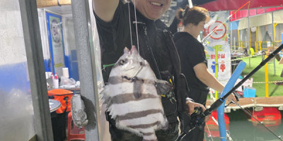 안면도좌대 돌돔 좌대 되는 것입니꽈~