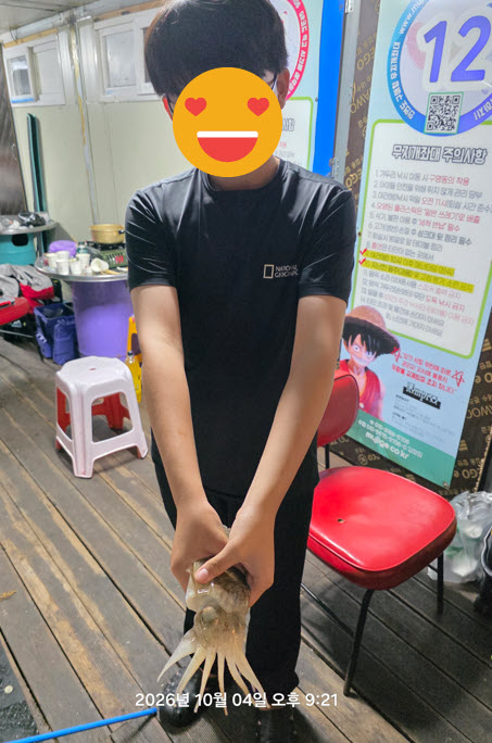 07fa045605b22ae8eb141b7971ab73c4_1791183690_0004.jpg 태안 좌대낚시 쭈꾸미 비상? 오히려 좋아! 생새우 외수질로 갑오징어 대박 터졌습니다!
