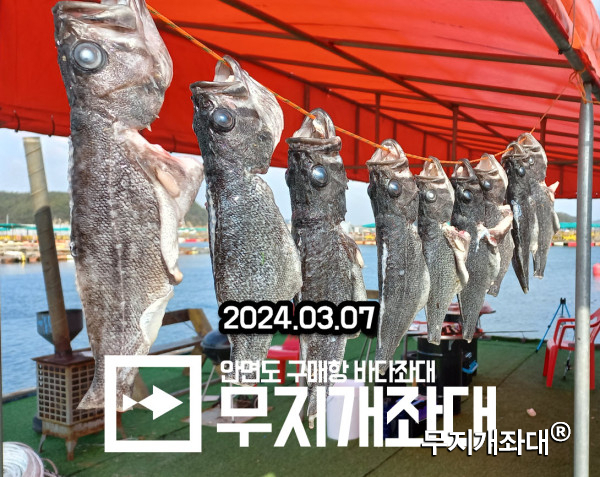 3월안면도구매항좌대우럭낚시